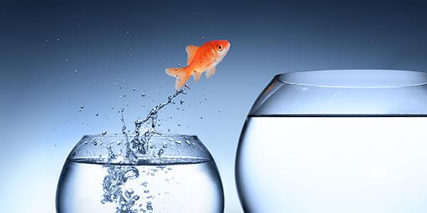 Extra diensten, stepstones