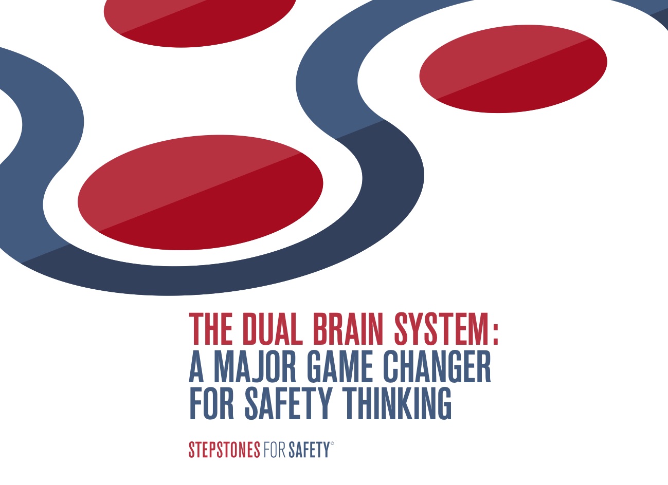 The dual brain system